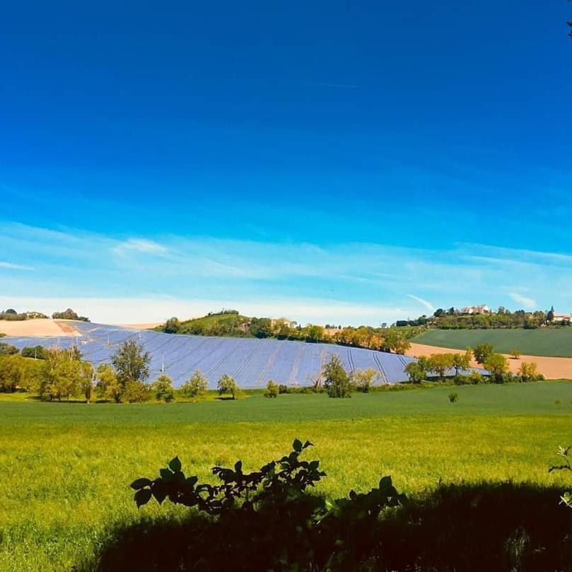 Teyssode Domaine D'En Naudet Bed & Breakfast エクステリア 写真